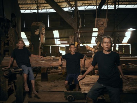 แปรรูปไม้สักพม่า